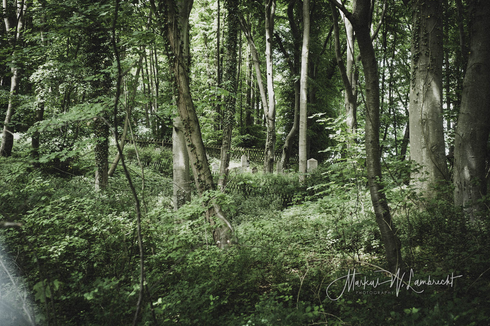 Landkreis Vorpommern Greifswald